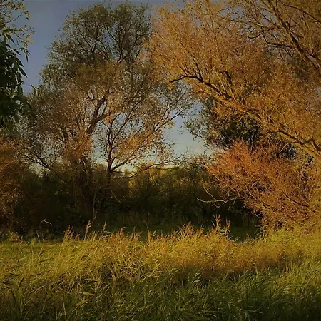 Feriendomizil Wohltat Holiday home