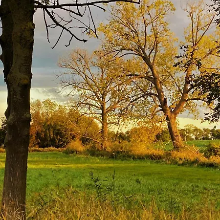 Feriendomizil Wohltat Holiday home