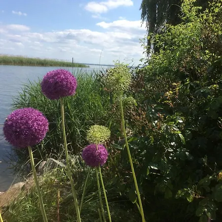 Feriendomizil Wohltat * Usedom Town